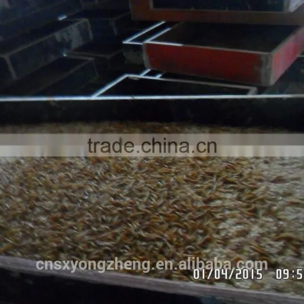 High Protein Dried Mealworms Wild Bird Food(freeze Dry) photo-5