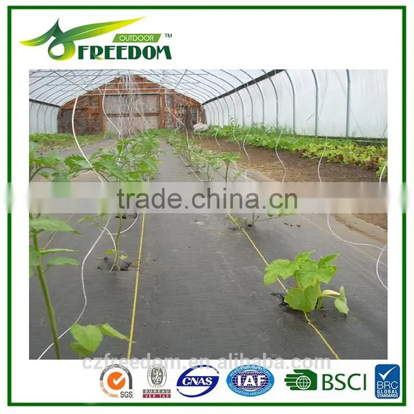 Weed Control Fabric &amp Ground Cover of 80g-200g per Square Meter photo-4