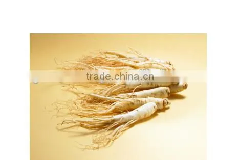 Chinese Ginseng Slimming Tea 2g *20 Bags /box Green Tea With Ginseng Slimming Tea Bags OEM to USA England Canada Australia photo-5