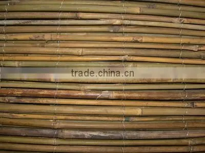 Natural Rolled Bamboo Fence photo-2