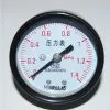 Pressure Gauge