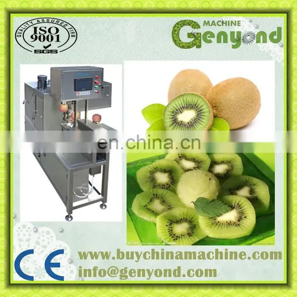 Dried Kiwi Chips Processing Line photo-4