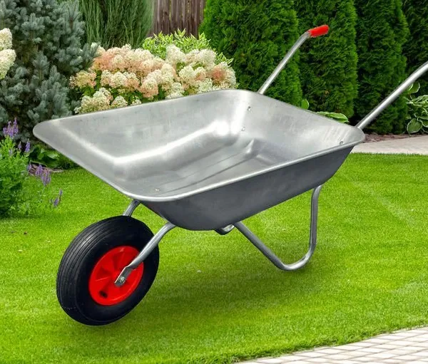 Wheelbarrow With Solid Tire for Landscaping and Farming photo-3
