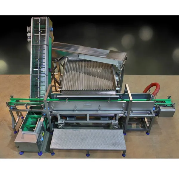 Canned Mushroom Canned Mushroom Packaging Machine Filling Machine Cooling Machine Equipment Canned Mushroom Production Line photo-3