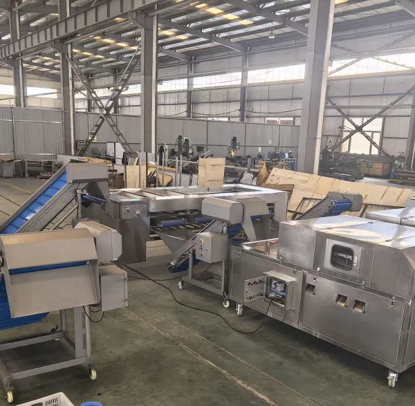 Food Grade Stainless Steel Palm Dates Processing Machine Automatic Dates Washing Pitting Drying Sorting Machinery for Industry photo-4