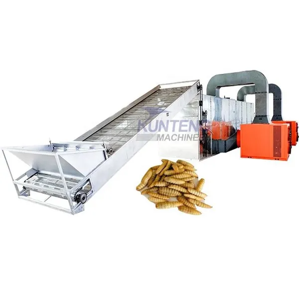 Clove Spices Continuous Mesh Belt Dryer