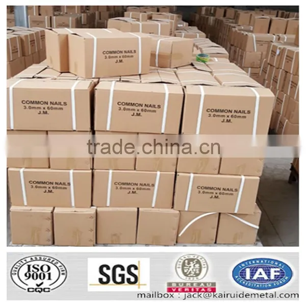 Factory on Hot Sale Manufacturer 3 Inches Common Nail Galvanized Nail photo-3
