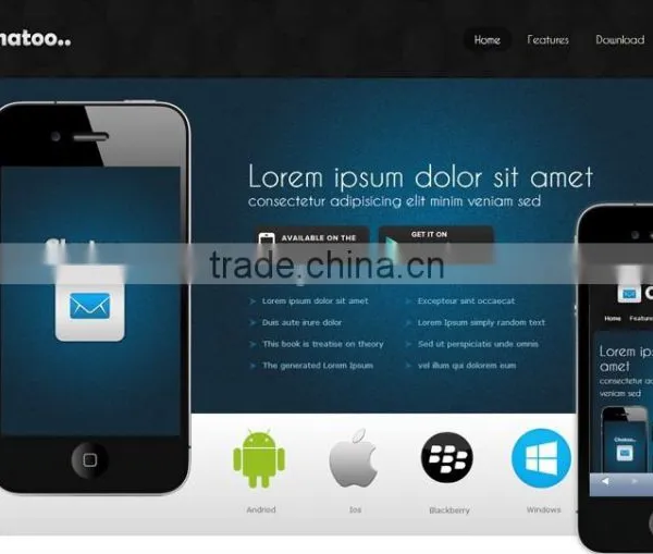 Mobile Website Developer India photo-3