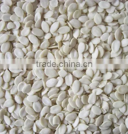 Hulled WaterMelon Seeds photo-4
