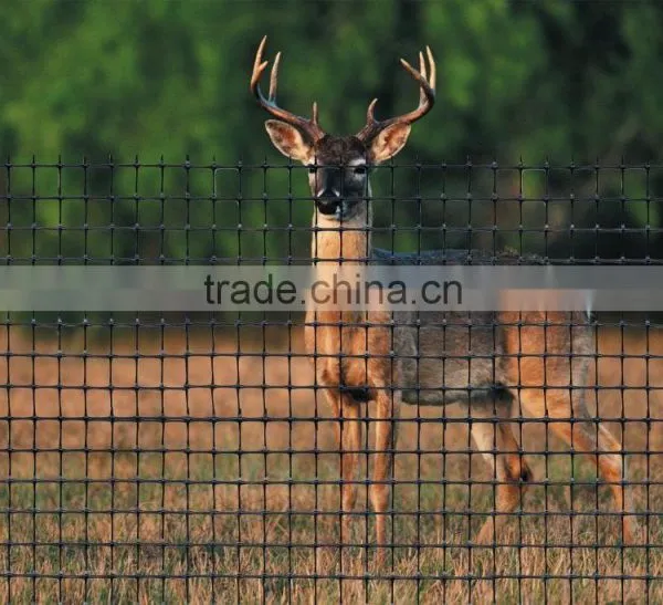 Re-used Deer Plastic Fence Products is Very Popular photo-2