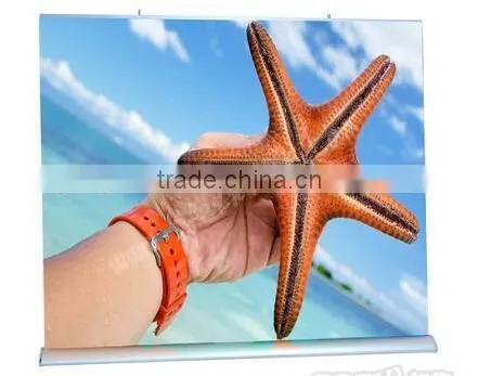 Digital Printing Mini Hand Roll up Banner Horizont photo-2