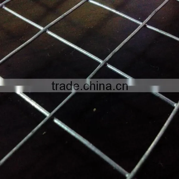 Anping Factory Best Selling Galvanized Square Wire Mesh for Construction photo-2