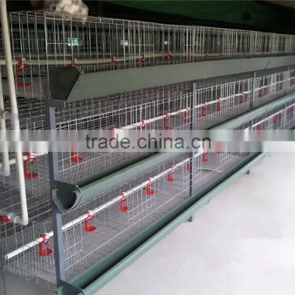 Layer Chicken Cages For Farm Low Carbon Steel Wire photo-4
