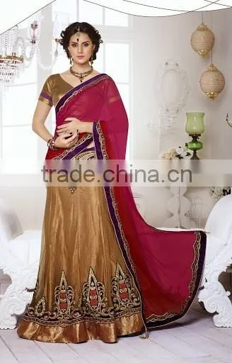 CREAM GEORGETTE ON NET LAHANGA STYLE SAREE photo-2