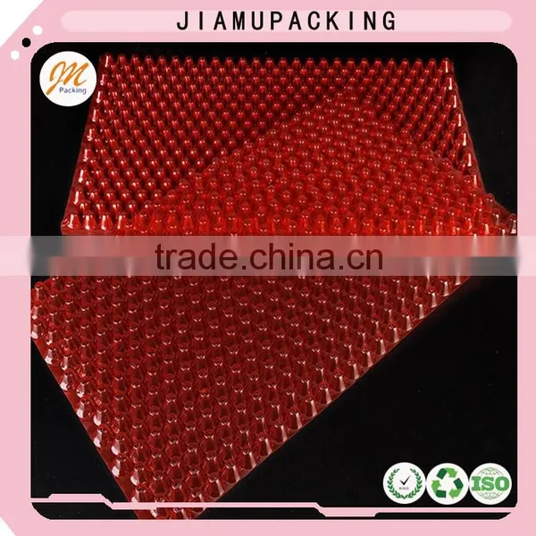 Transparent Vegetable Seed Starter Tray photo-2
