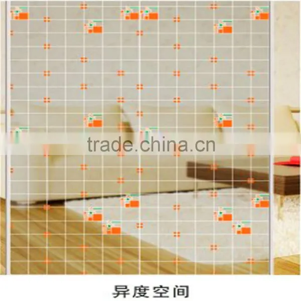 Coloful Decoration Screen Printed Glass for Bathroom Door photo-4