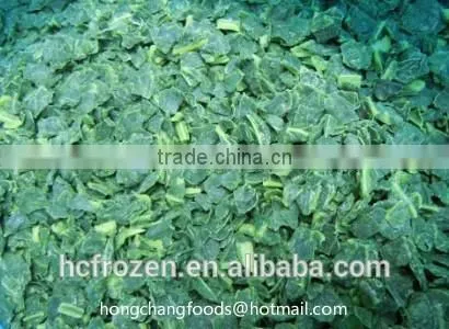 China High Quality IQF Frozen Spinach Chopped photo-2