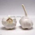 Hot Sale Fresh Chinese Normal White Garlic With Ctn photo-2