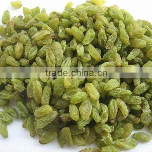 High Quality Green Raisin From China photo-5