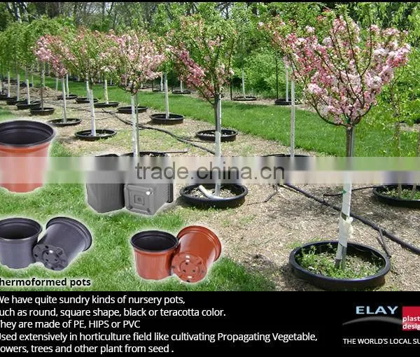Decorative Pots photo-3