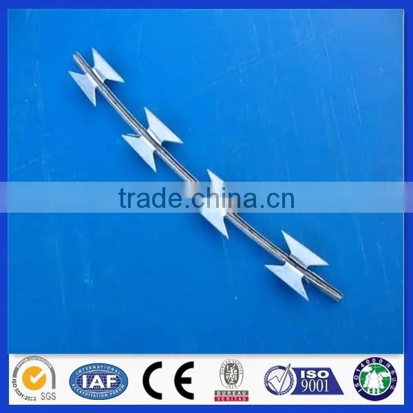 China Factory Security Fence Flat Razor/concertina Razor Wire photo-3