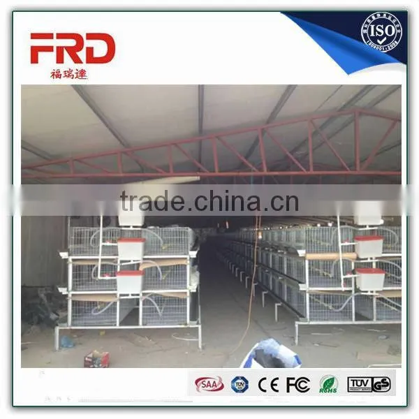 FRD 2016 High Quality Long Time Use Best Sale Chicken Egg Layer Cages /bird Cage for Sale/bird Cages for Sale Cheap photo-4