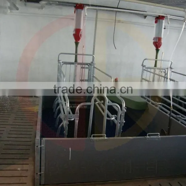 Pig Farrowing Crate Pig Equipment for Sale photo-2