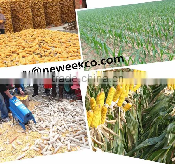 Neweek Home Simple Electric Corn Machine Mini Maize Thresher photo-6