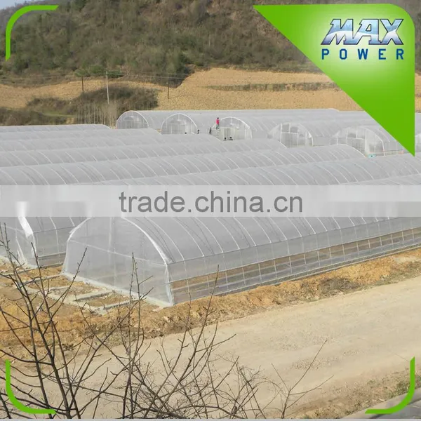 Double Layer Plastic Film Greenhouse photo-2