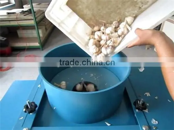 Good Selling Garlic Clove Separator Machine With Factory Price photo-5