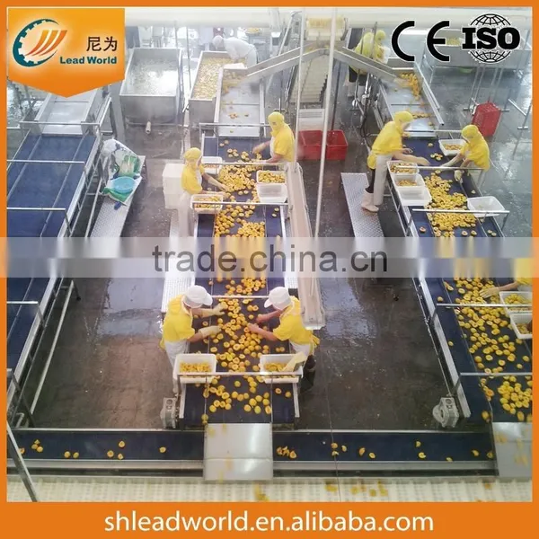 Glass Bottled Sweet Strawberry Production Line / Strawberry in Syrup Canning Machine photo-2