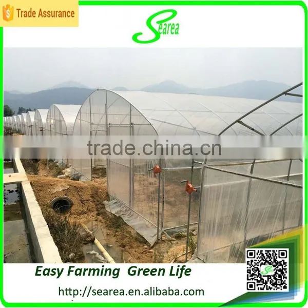 Large Greenhouses Big Greenhouse Manufacturer for Sale photo-5