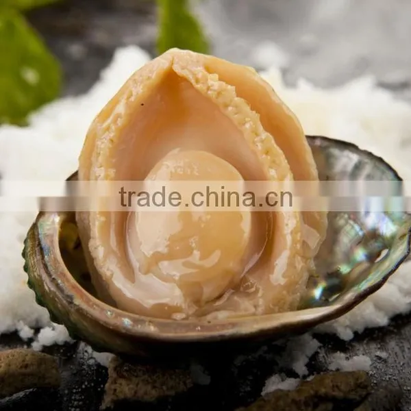 Frozen Seafood Exporter 100% Natural Frozen Abalone photo-2