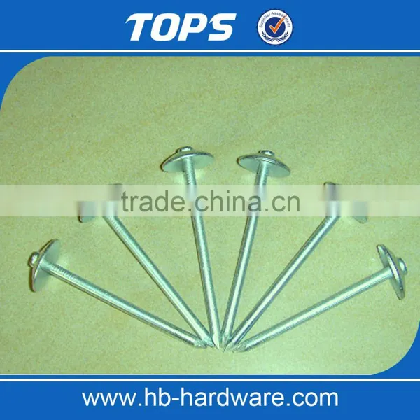 Cheap Aluminum Umbrella Head Roofing Nails photo-4