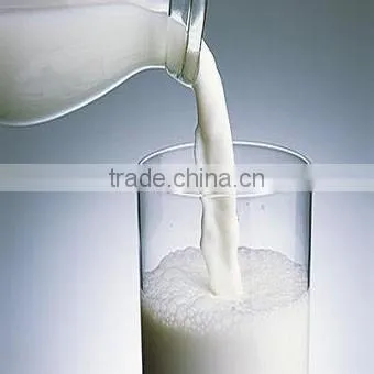 Fat Filled Milk Powder for Chocolate photo-2