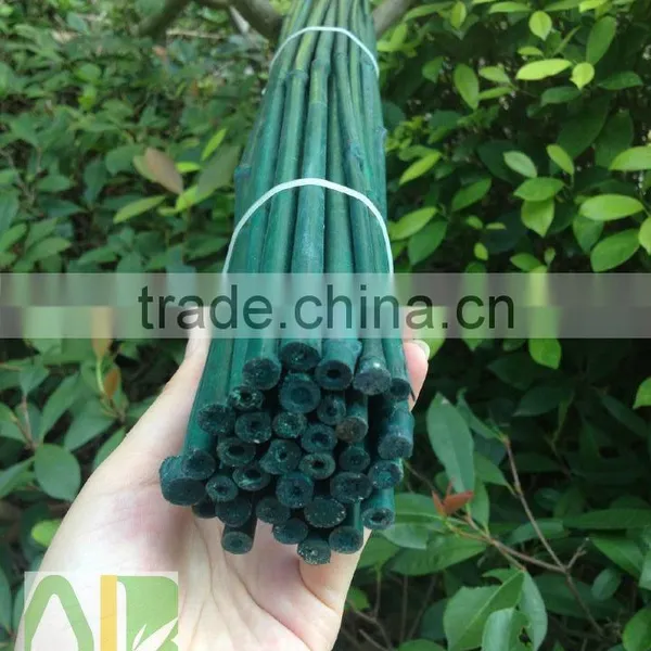 Green Bamboo Dried,round Flower Sticks for Sale photo-2