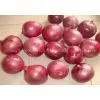 China Fresh Onion