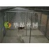Chain Link Dog Kennel photo-2