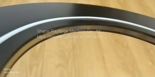 Insulating Gasket photo-4