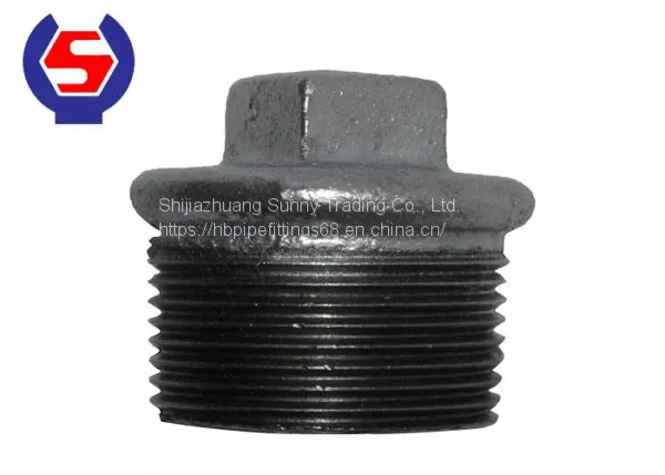 Malleable Iron Plugs