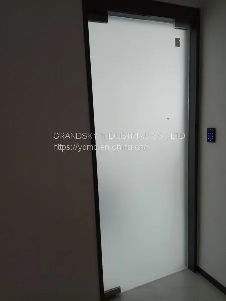 Automatic Ground Spring Swing Door DSW-3 photo-5