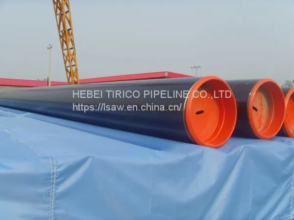 API 5L X52 Seamless Steel Pipe ASTM B36.19 SHC40 10