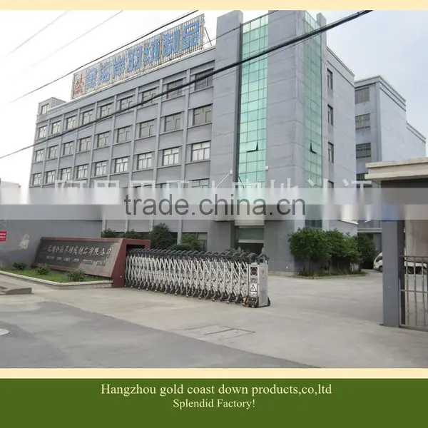 Feather Pillow/sleeping Pillow/hotel Pillow/gusset Technic photo-2