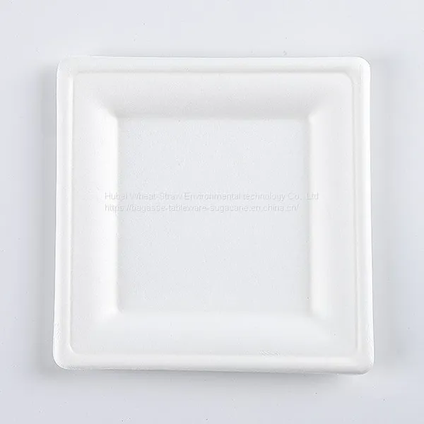 Disposable Biodegradable 10INCH Square Plate Take Away Sugarcane photo-3
