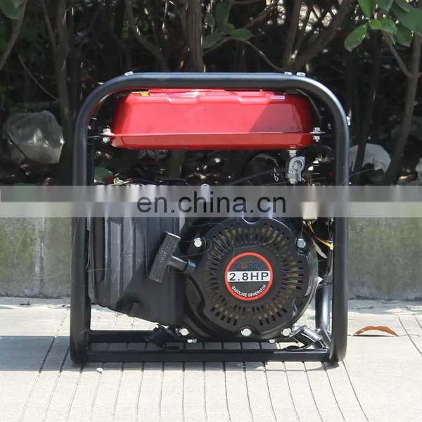BISON CHINA 1000w Gasoline Generator Air Cooled Single Phase 50hz 60hz Portable 1 kw Generator photo-3