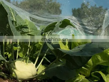 Factory Direct 55gsm 65gsm 70gsm Anti Insect Screen Hdpe Greenhouse Agricultural Protect Insect Proof Mesh Fine Net photo-5