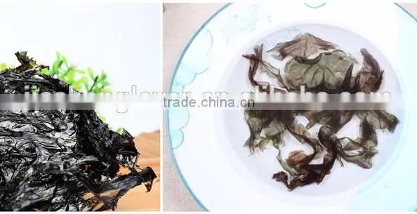 Perfect Dried Seaweed Price for Chinese Seaweed Soup photo-4