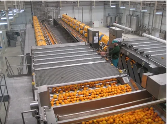 Pumpkin Juice Production Line photo-6