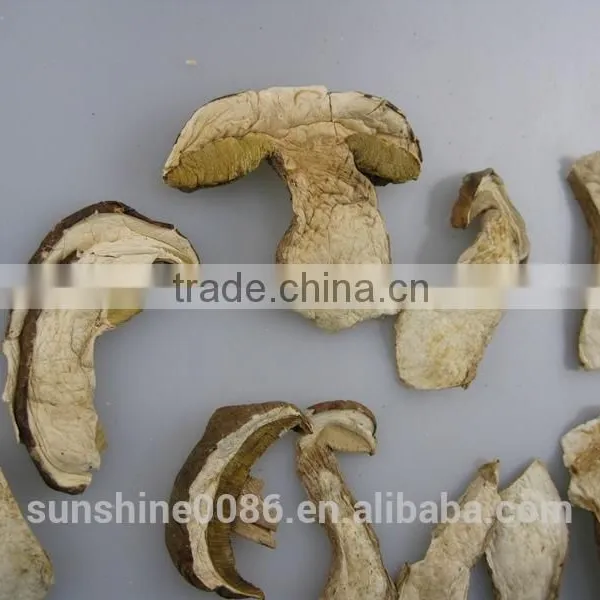 Organic Dried Porcini Boletus Mushroom photo-5