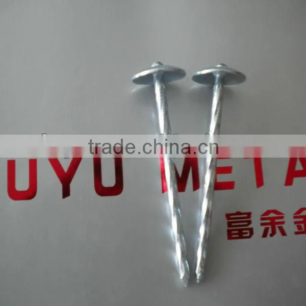 Roofing Nails (manufacturers), Common Iron Nails photo-2